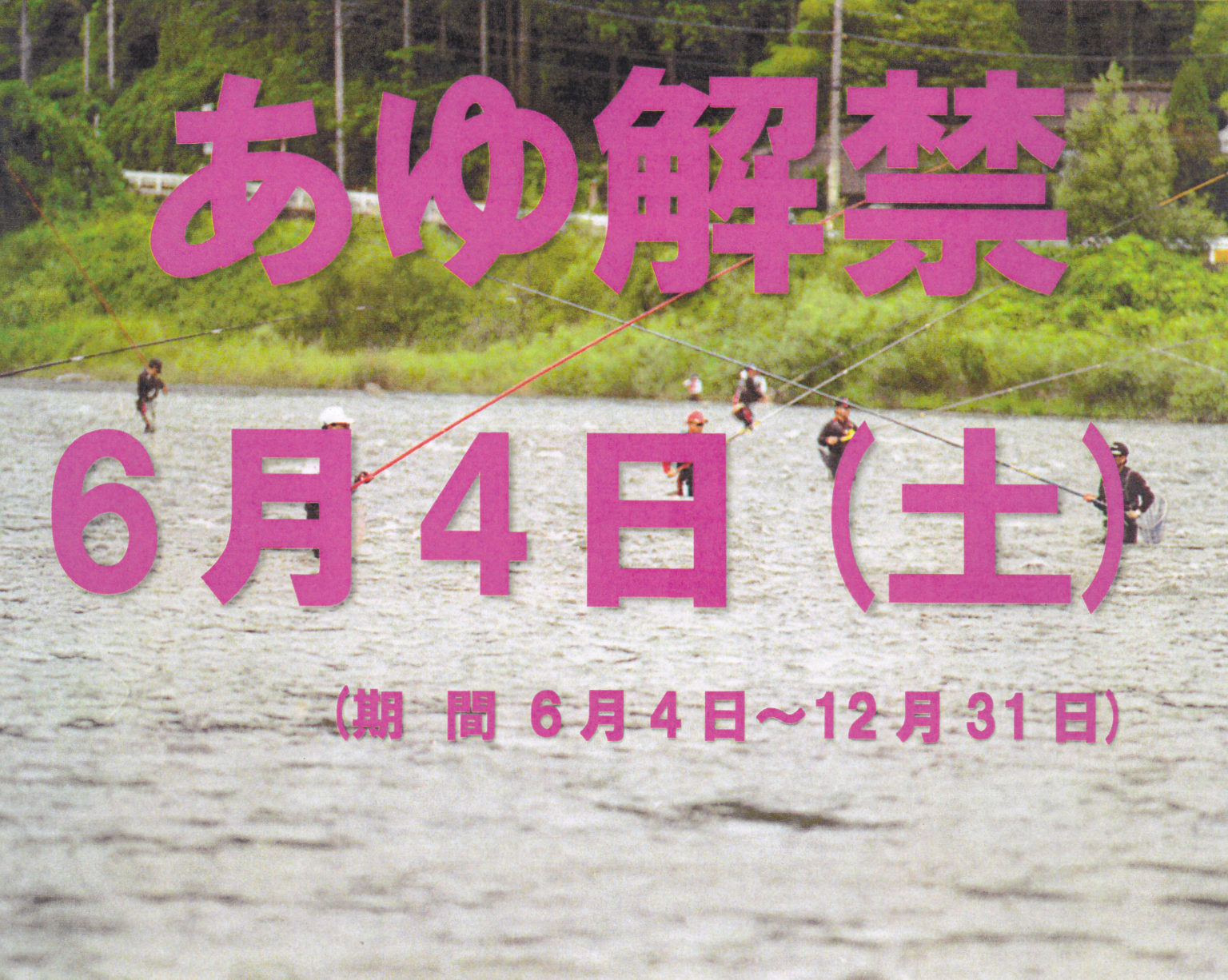 IMG 板取川上流漁業協同組合 IMG 板取川上流漁業協同組合